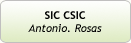 SIC CSIC, Antonio. Rosas